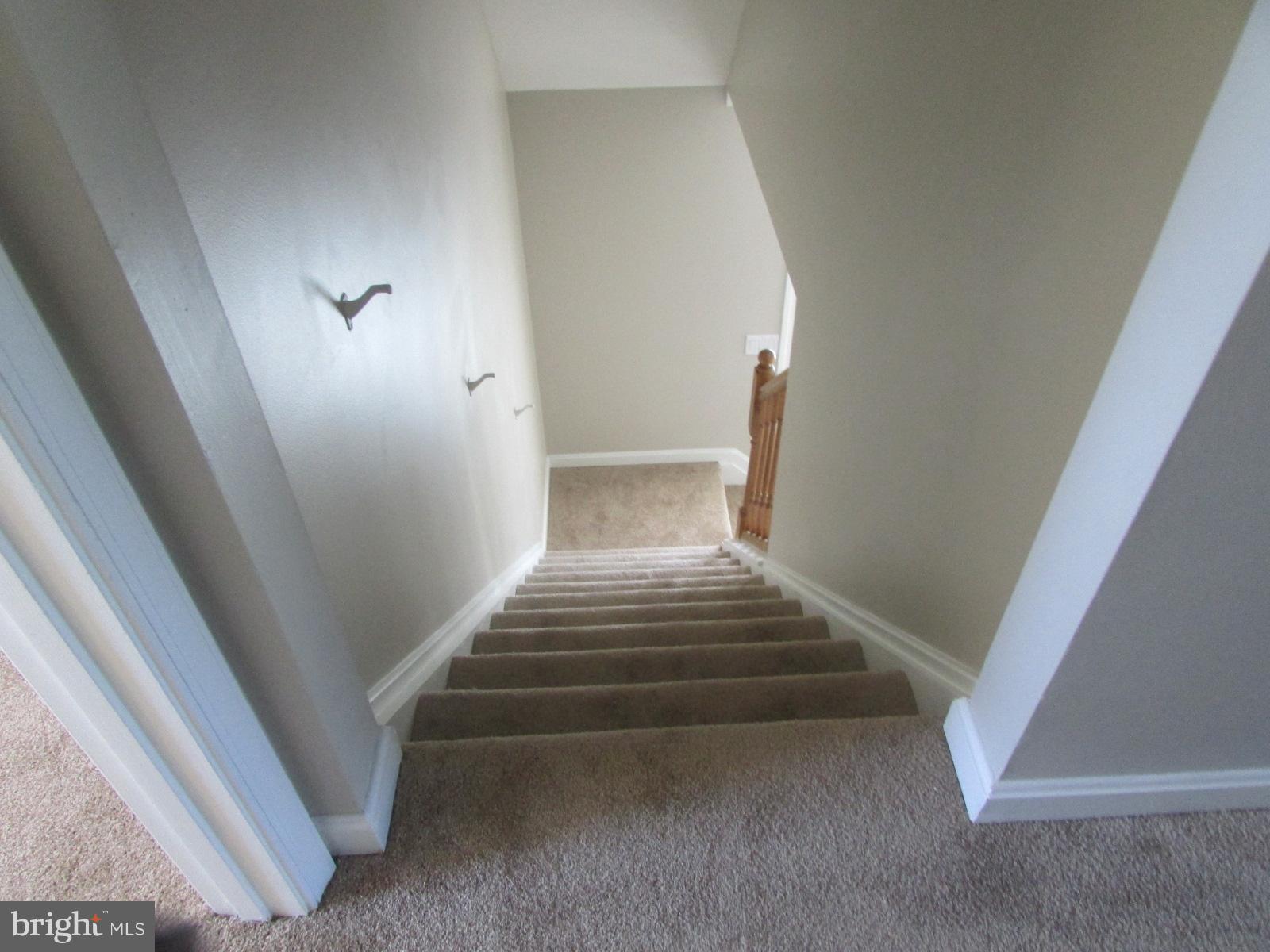 437 Legion Road Millington, MD 21651 - Photo 19 of 20 Going down steps