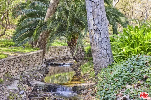 a view of a garden with a tree