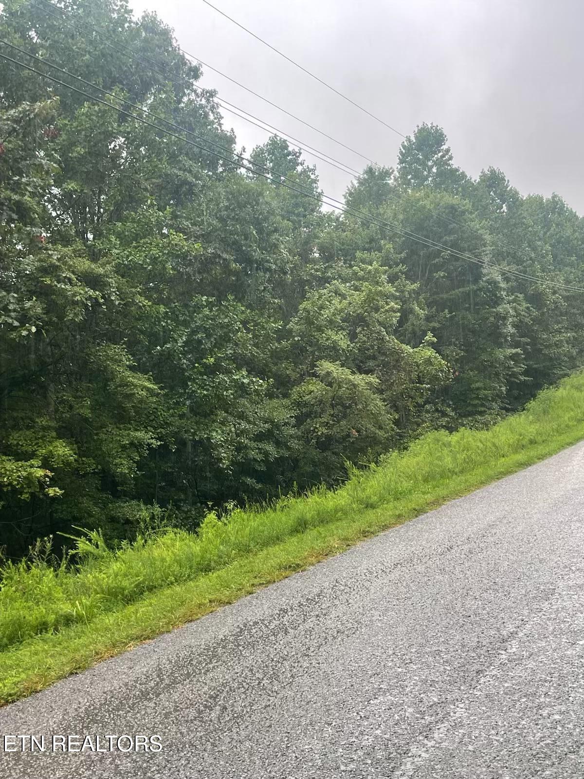 Whistle Valley Road New Tazewell, TN 37825 - Photo 2 of 5 IMG_7951