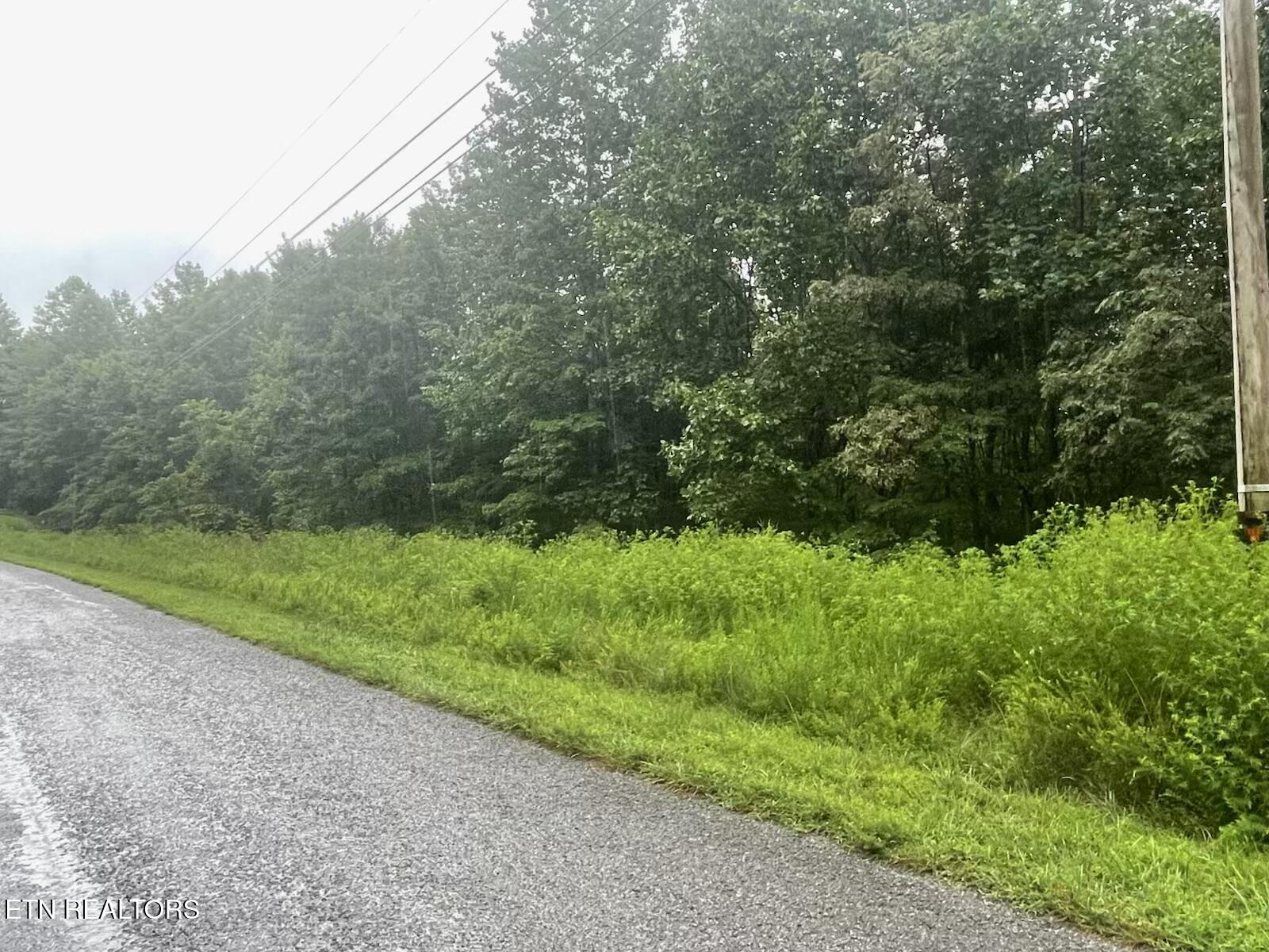 Whistle Valley Road New Tazewell, TN 37825 - Photo 4 of 5 IMG_7953