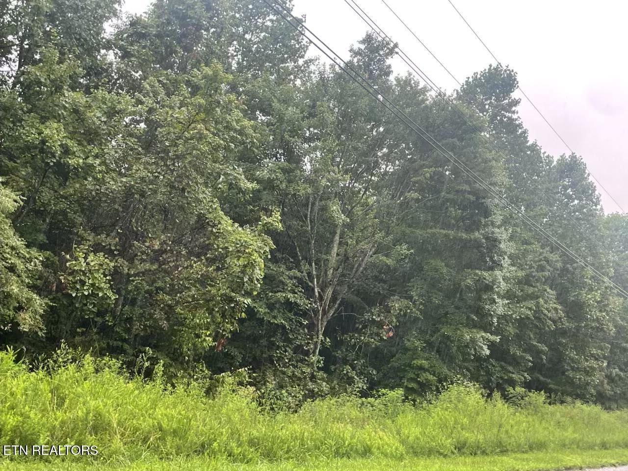 Whistle Valley Road New Tazewell, TN 37825 - Photo 5 of 5 IMG_7952