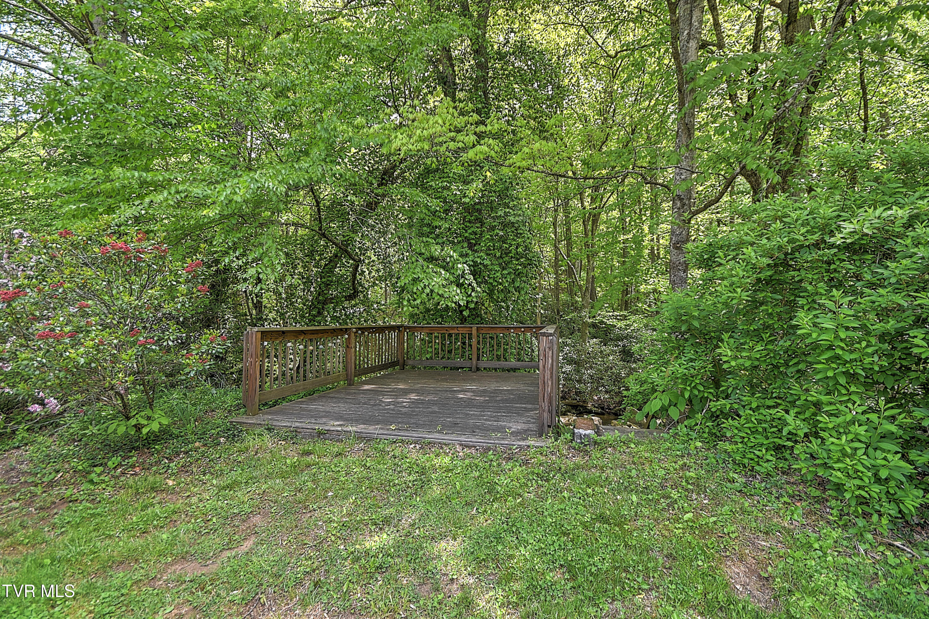 275 Tiger Creek Road Roan Mountain, TN 37687 - Photo 42 of 104 275 Tiger Creek EH-36