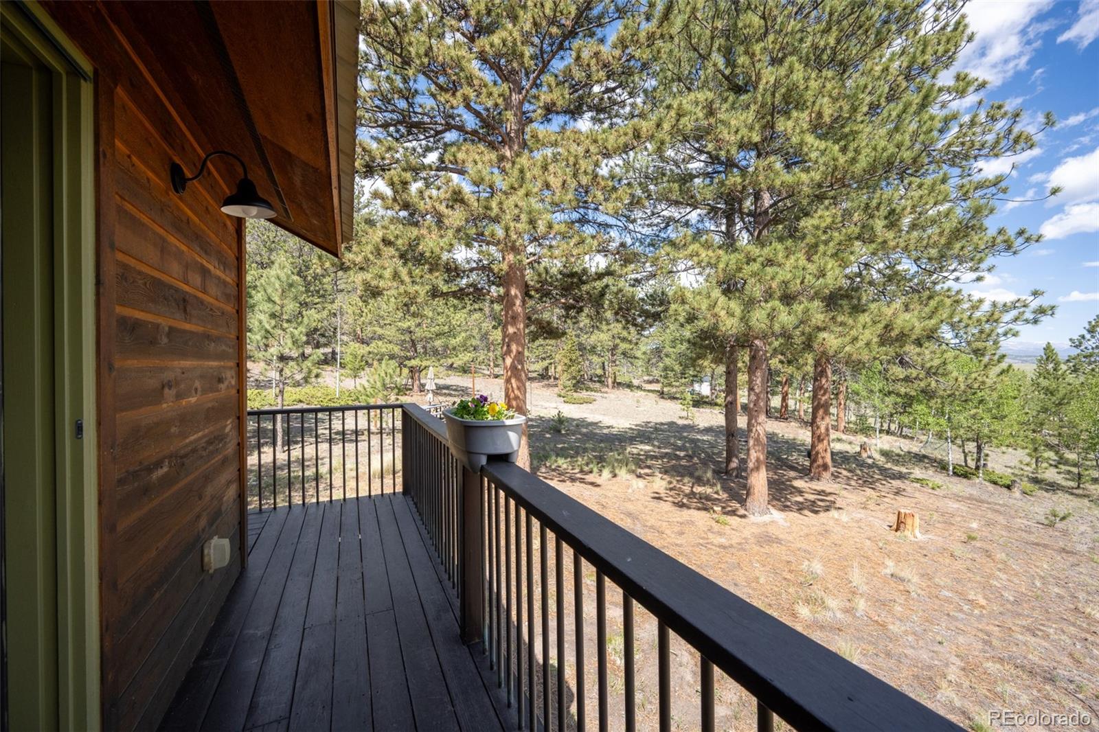 730 Lariat Loop Hartsel, CO 80449 - Photo 29 of 50