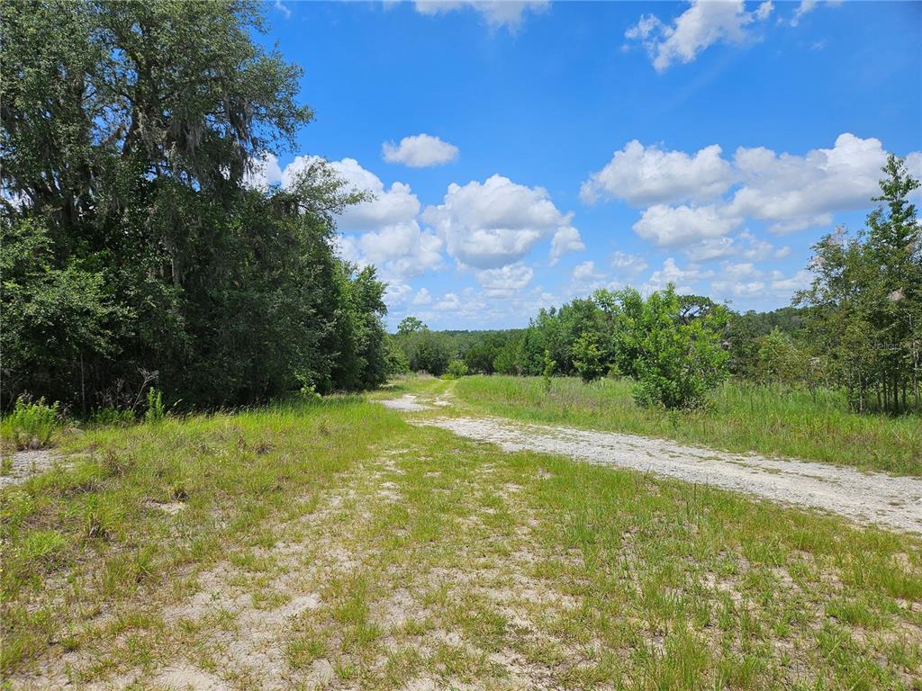 3814 West Ranchetta Street Dunnellon, FL 34433 - Photo 5 of 6