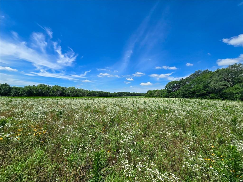 2087 South 1600th Road Wilsey, KS 66873 - Photo 25 of 56
