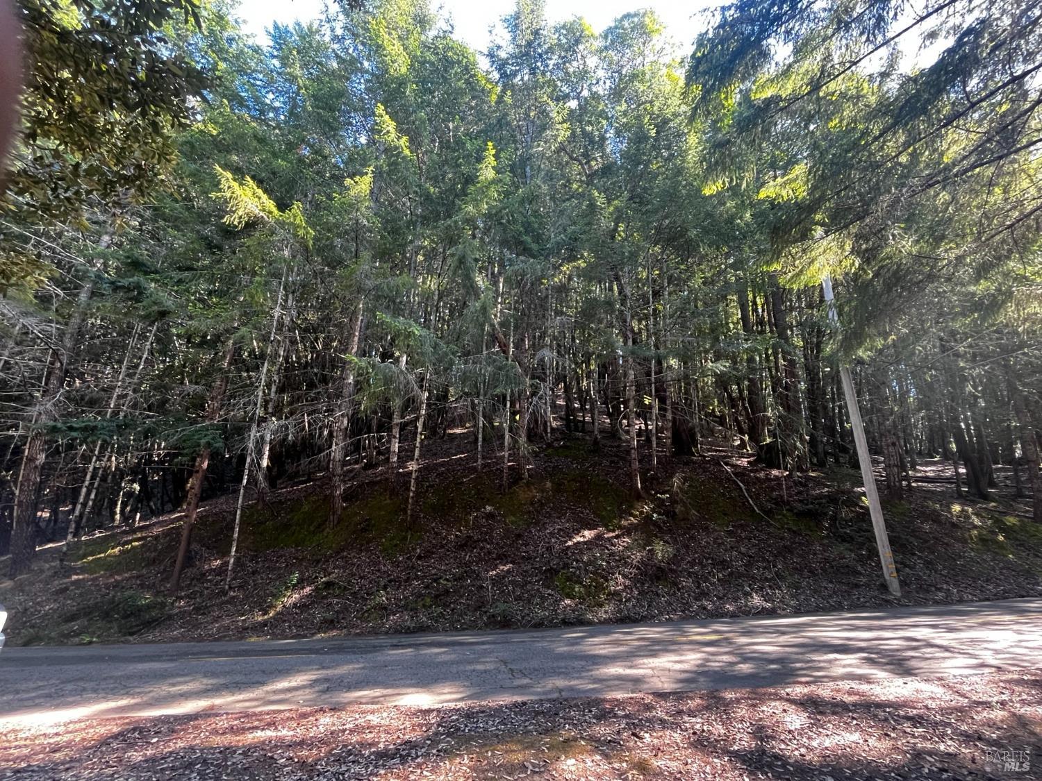 1775 Buckeye Road Willits, CA 95490 - Photo 1 of 5 a view of a yard with trees