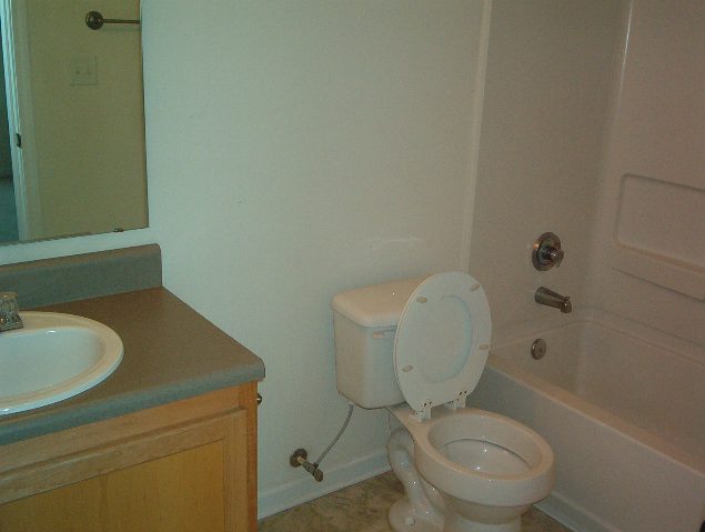 1602 Harts Ridge Drive Seneca, SC 29678 - Photo 7 of 13 Gallery Image 7