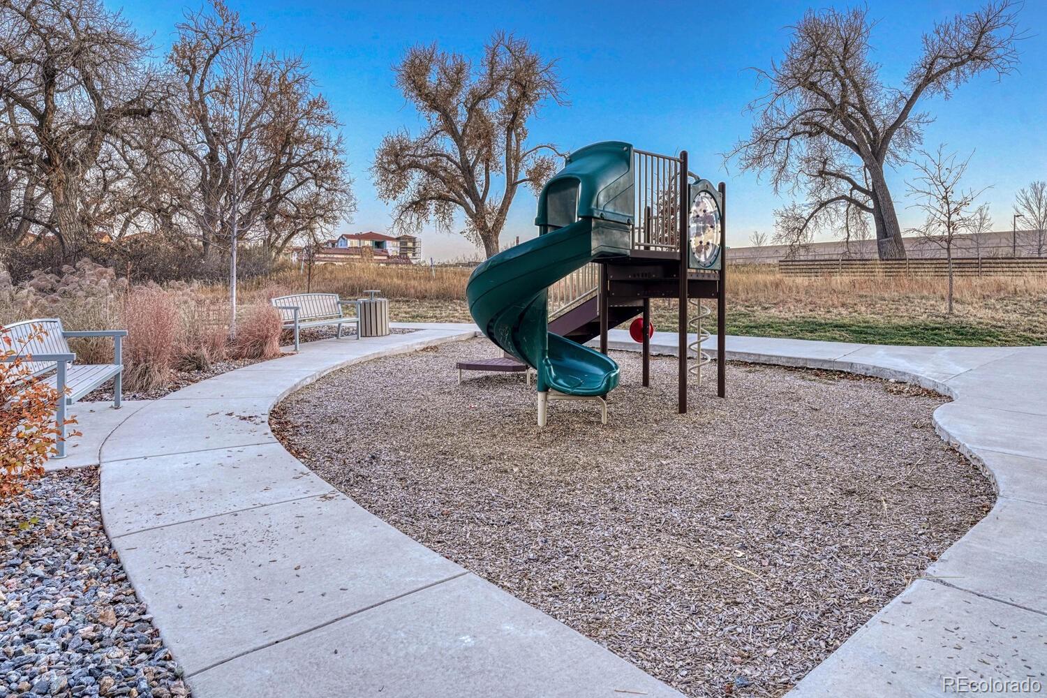 8338 Rivulet Point Highlands Ranch, CO 80129 - Photo 43 of 46 a view of a yard with a slide