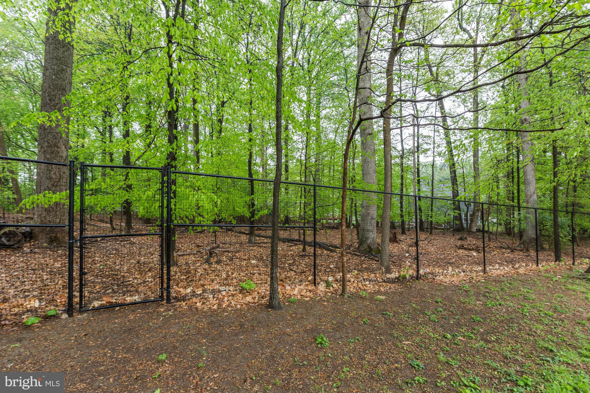 13408 Rippling Brook Drive Silver Spring, MD 20906 - Photo 9 of 30 Wooded Area Beyond Black Fence