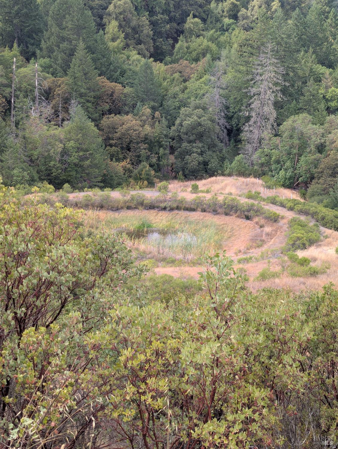 59202 George Washington Rock Road Laytonville, CA 95454 - Photo 15 of 34 a view of a yard with trees