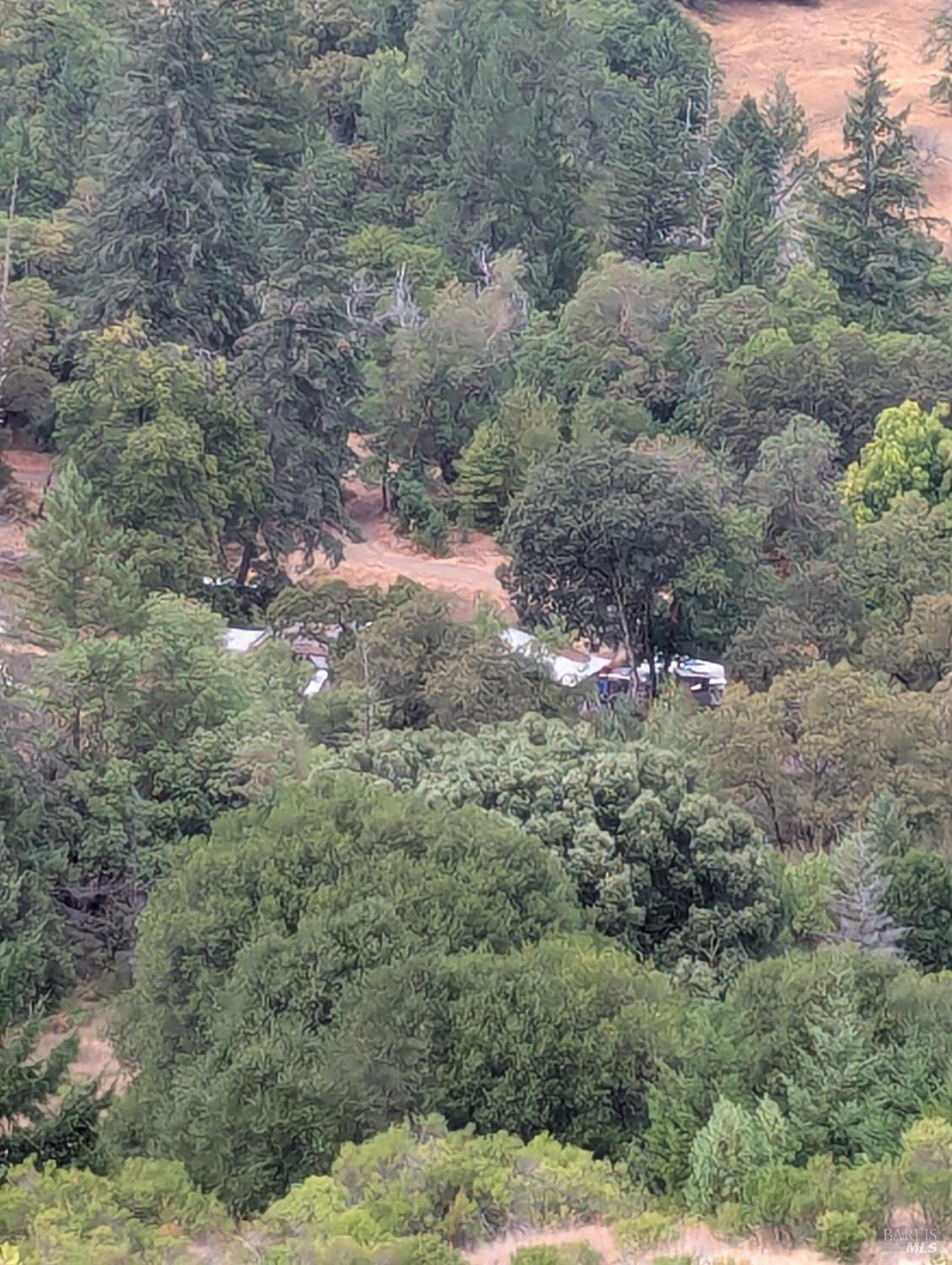 59202 George Washington Rock Road Laytonville, CA 95454 - Photo 20 of 34 a view of a forest with a street