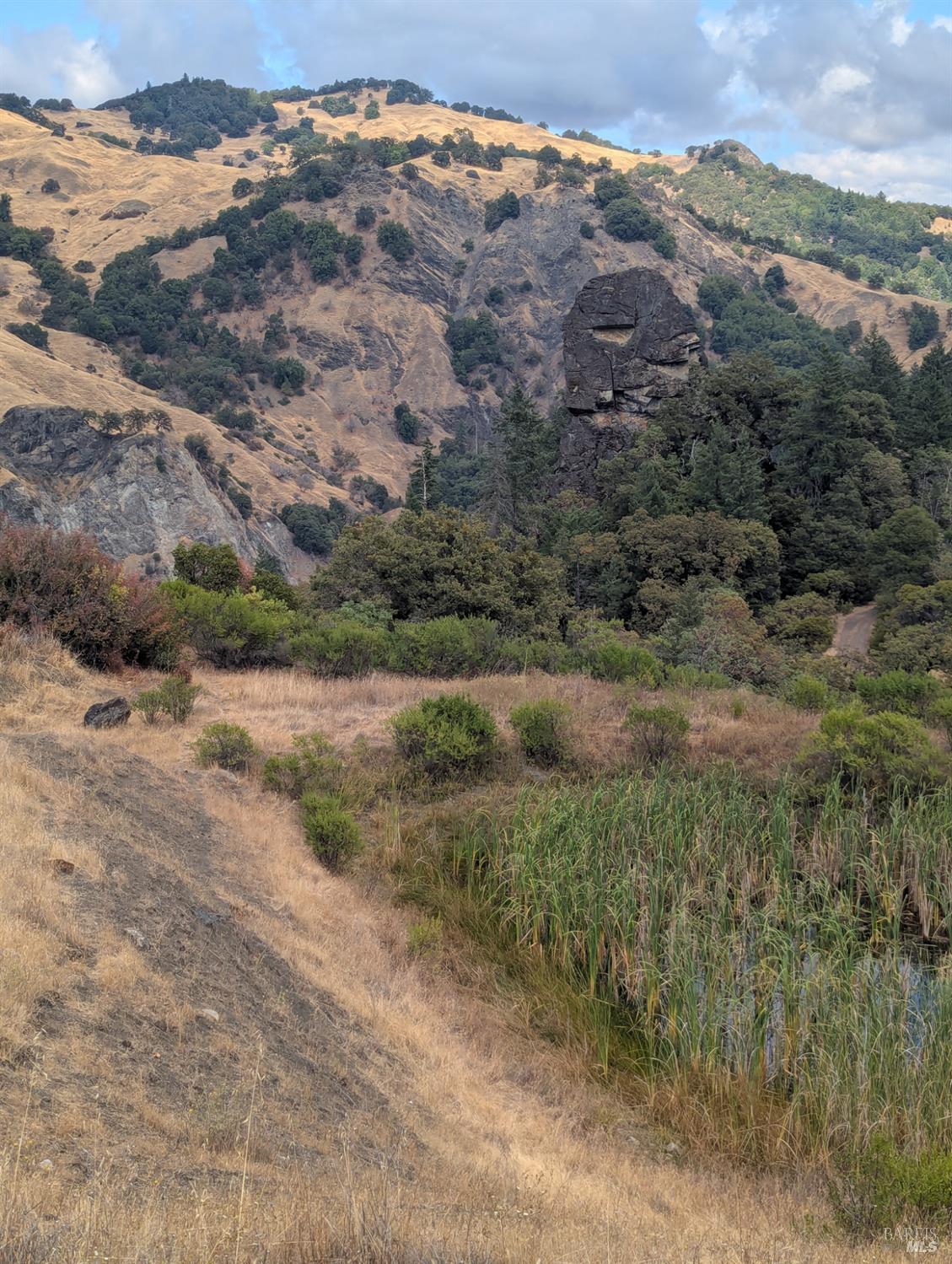 59202 George Washington Rock Road Laytonville, CA 95454 - Photo 24 of 34 an aerial view of mountain with beach