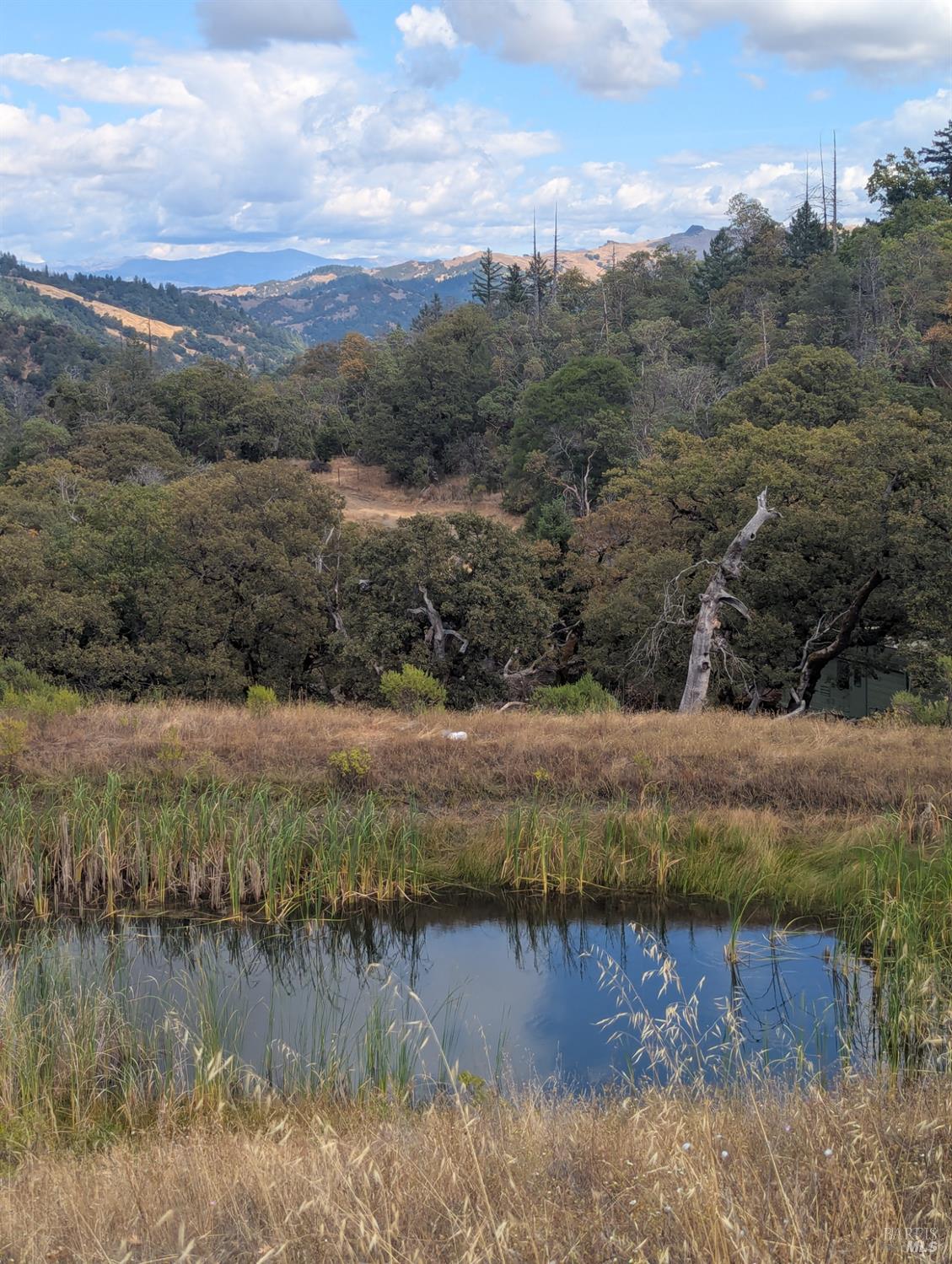 59202 George Washington Rock Road Laytonville, CA 95454 - Photo 25 of 34 a view of a lake with mountains in the background