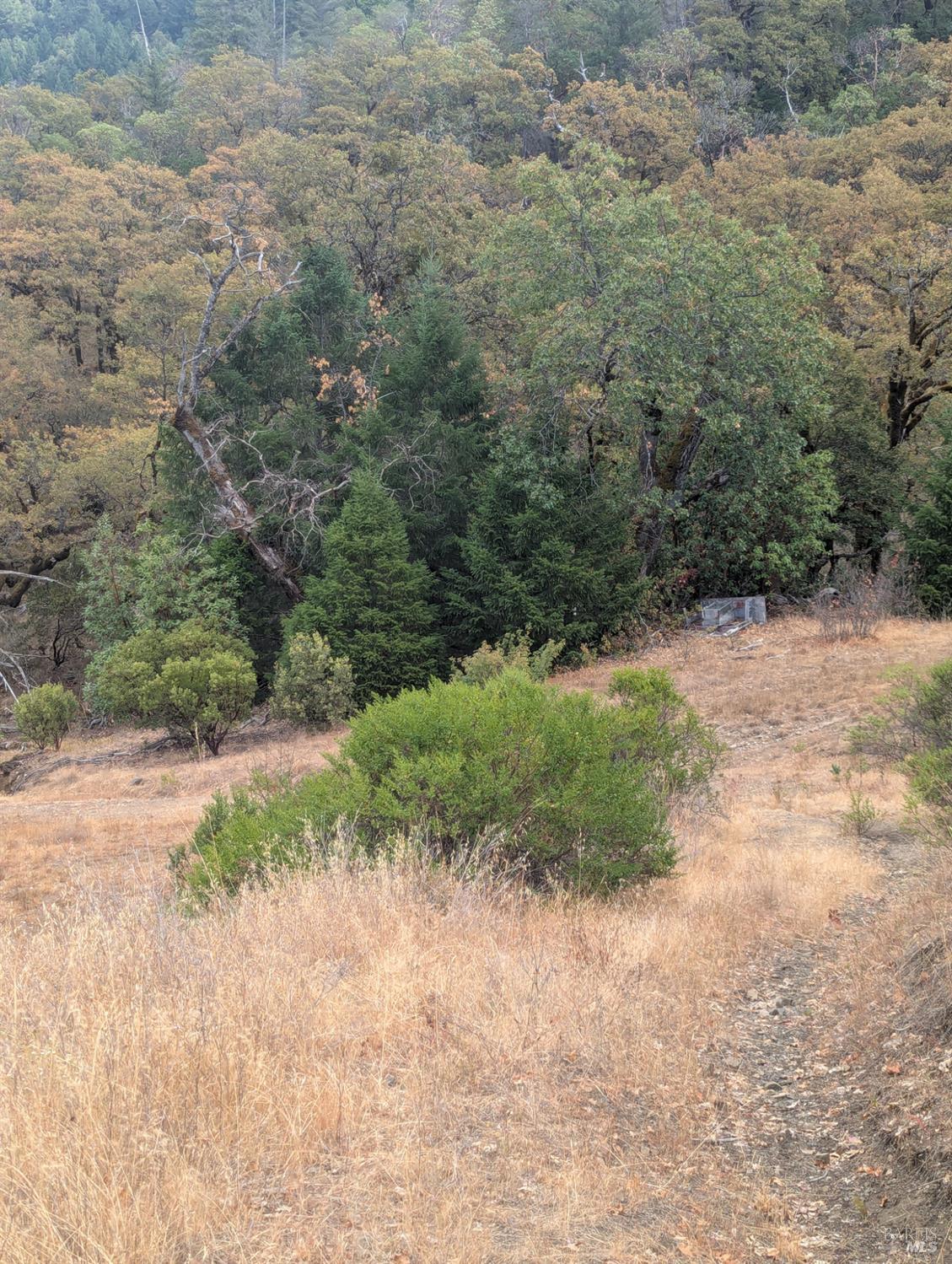 59202 George Washington Rock Road Laytonville, CA 95454 - Photo 26 of 34 a view of a yard with a tree