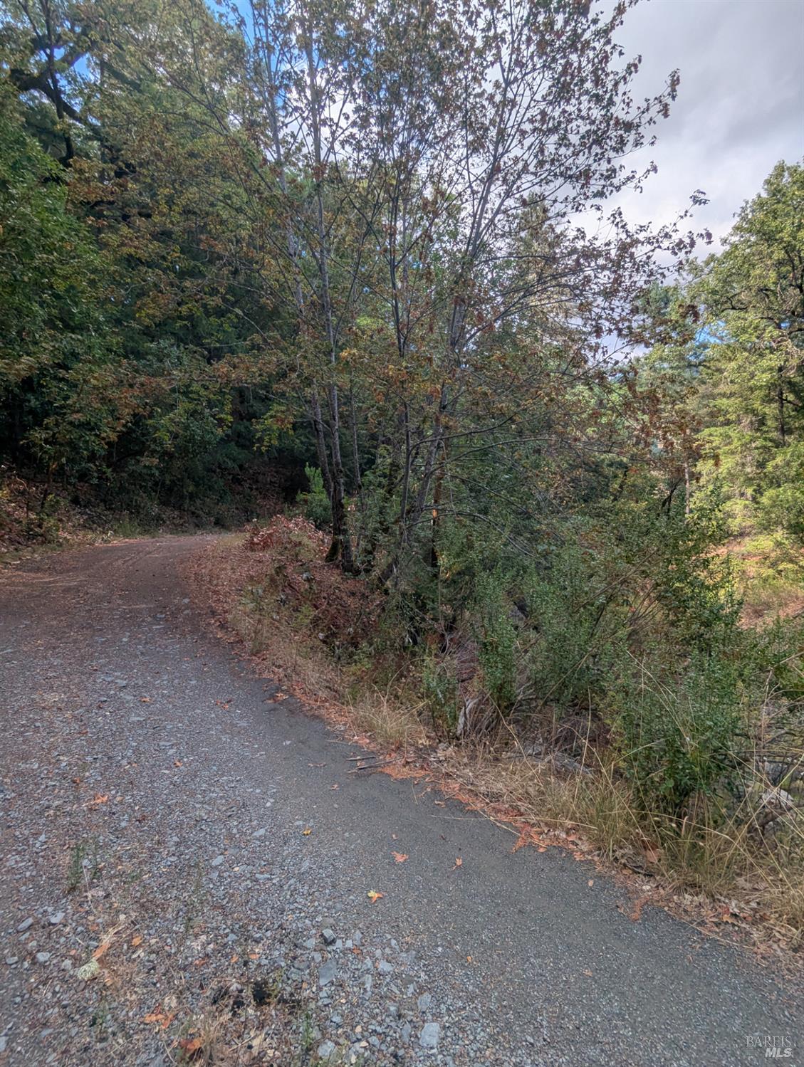 59202 George Washington Rock Road Laytonville, CA 95454 - Photo 7 of 34 a view of a dirt road with trees in the background