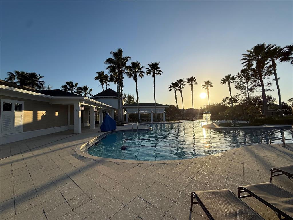 7649 Intrepid Road Wesley Chapel, FL 33545 - Photo 35 of 46 a view of a swimming pool