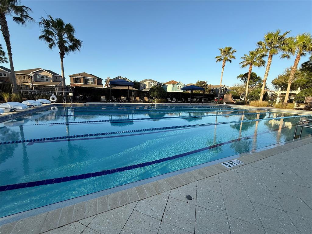 7649 Intrepid Road Wesley Chapel, FL 33545 - Photo 37 of 46 a view of outdoor space and living room