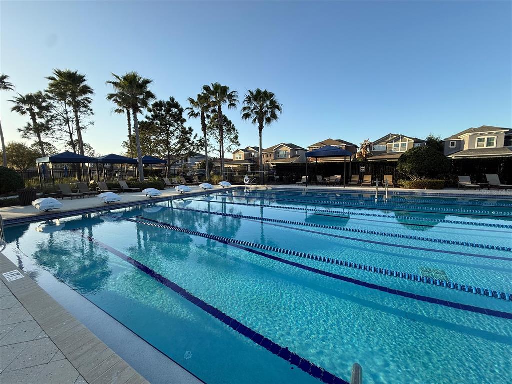7649 Intrepid Road Wesley Chapel, FL 33545 - Photo 40 of 46 a view of swimming pool with outdoor seating and trees in the background