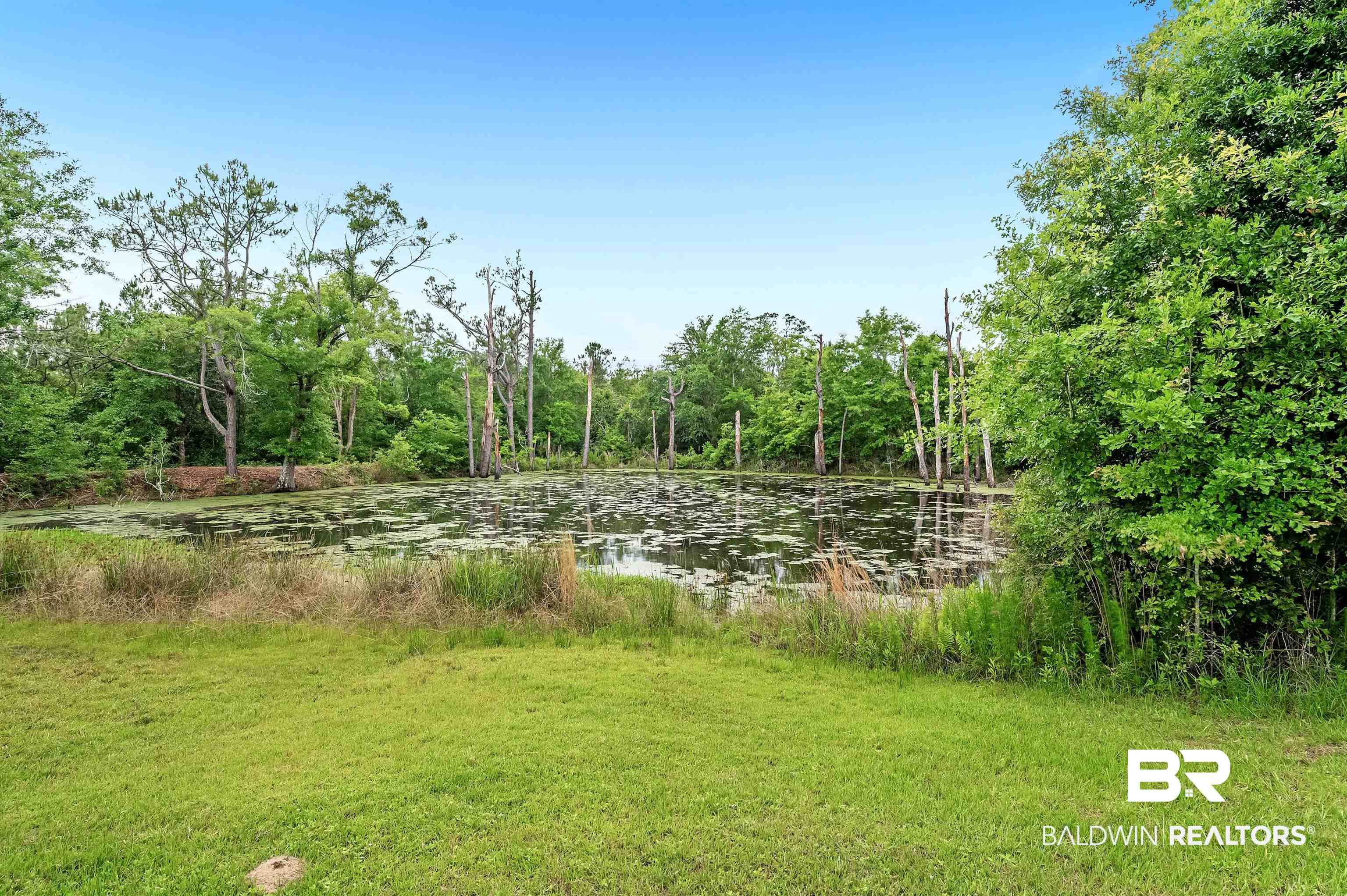 13827 County Road 83 Elberta, AL 36530 - Photo 9 of 38 View of yard with a water view and a wooded view