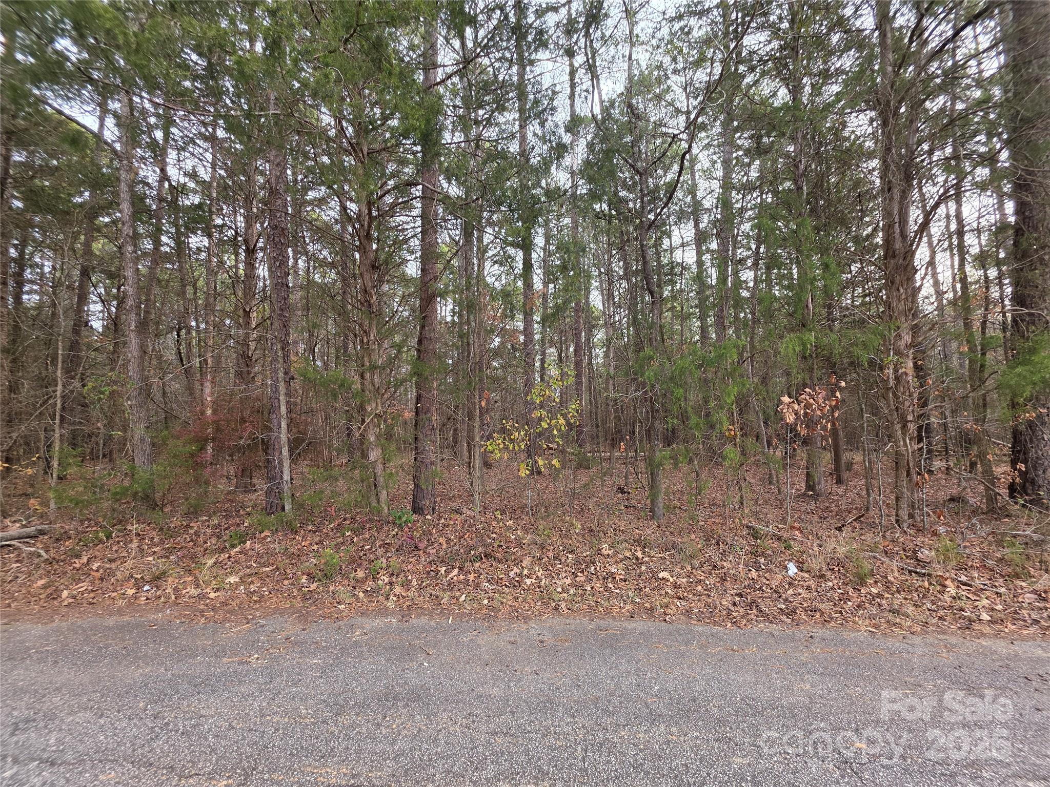0 Lynn Circle, Unit 1114 Lancaster, SC 29720 - Photo 2 of 5 a view of forest