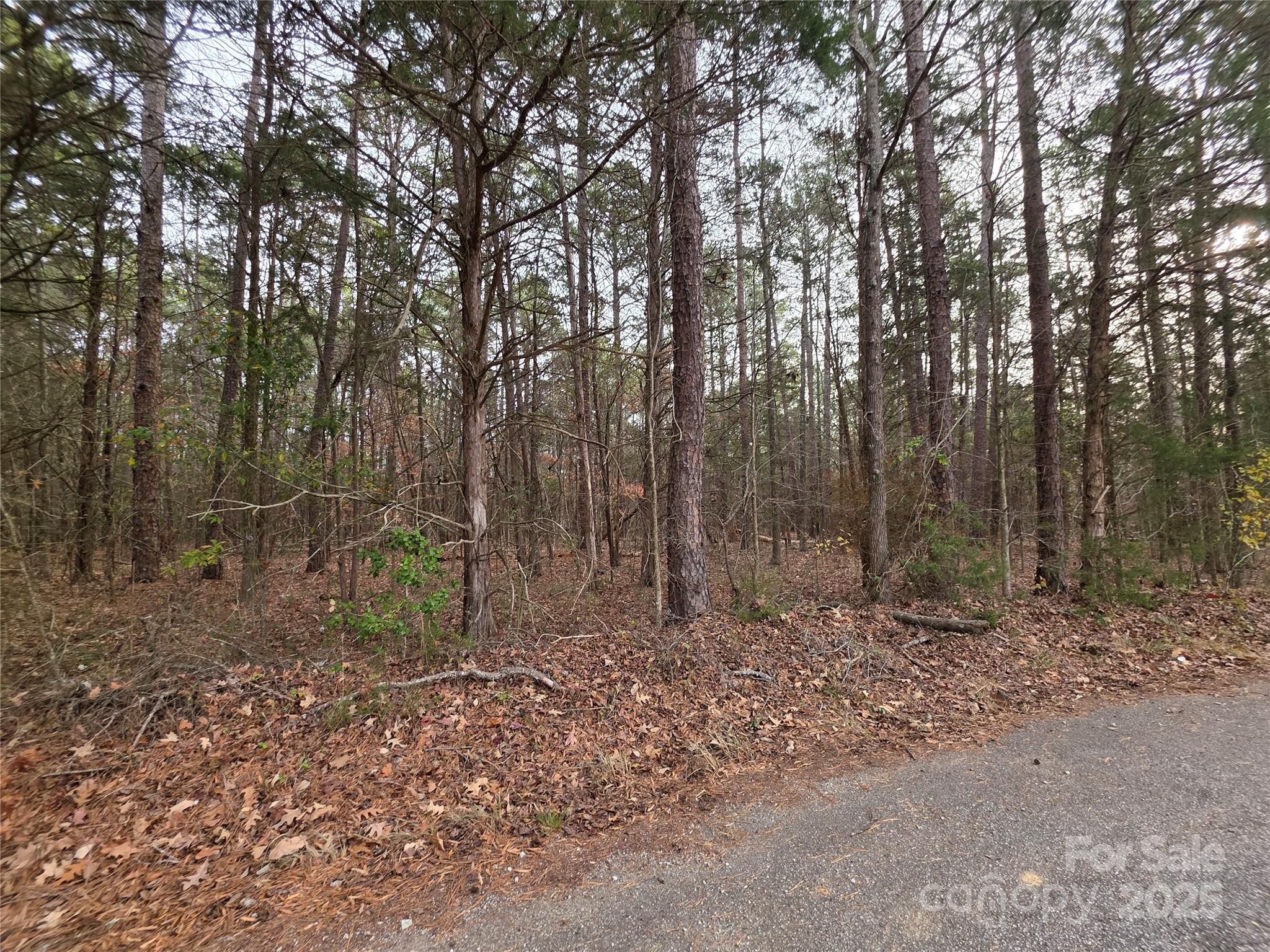 0 Lynn Circle, Unit 1114 Lancaster, SC 29720 - Photo 3 of 5 a view of outdoor space with trees