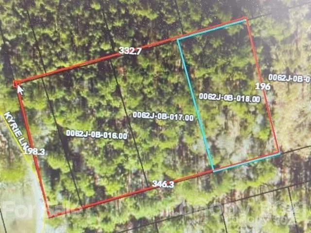 a black and white wall with a tree in the background