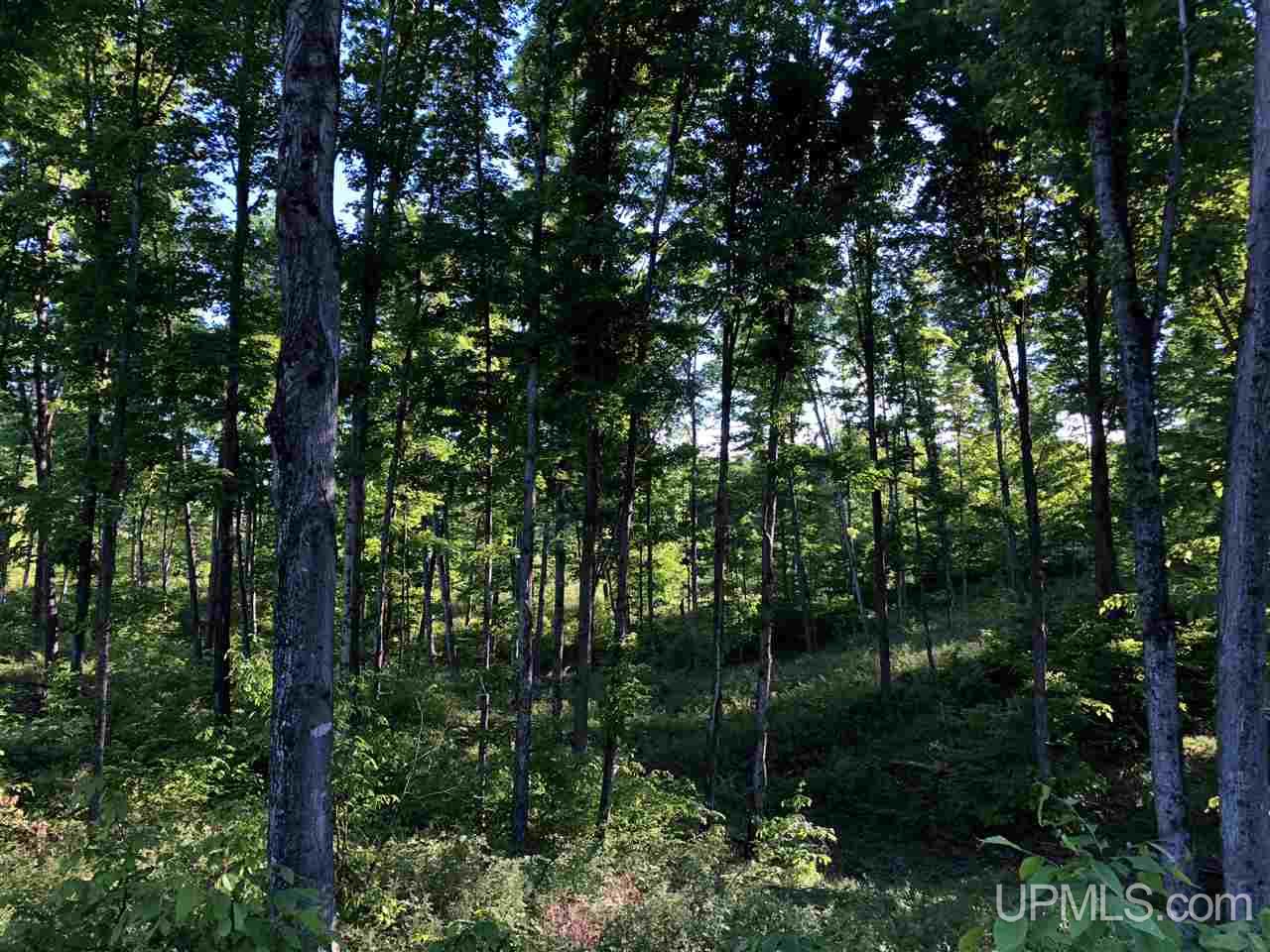 2353 Co Rd 442 Rapid River, MI 49878 - Photo 11 of 20