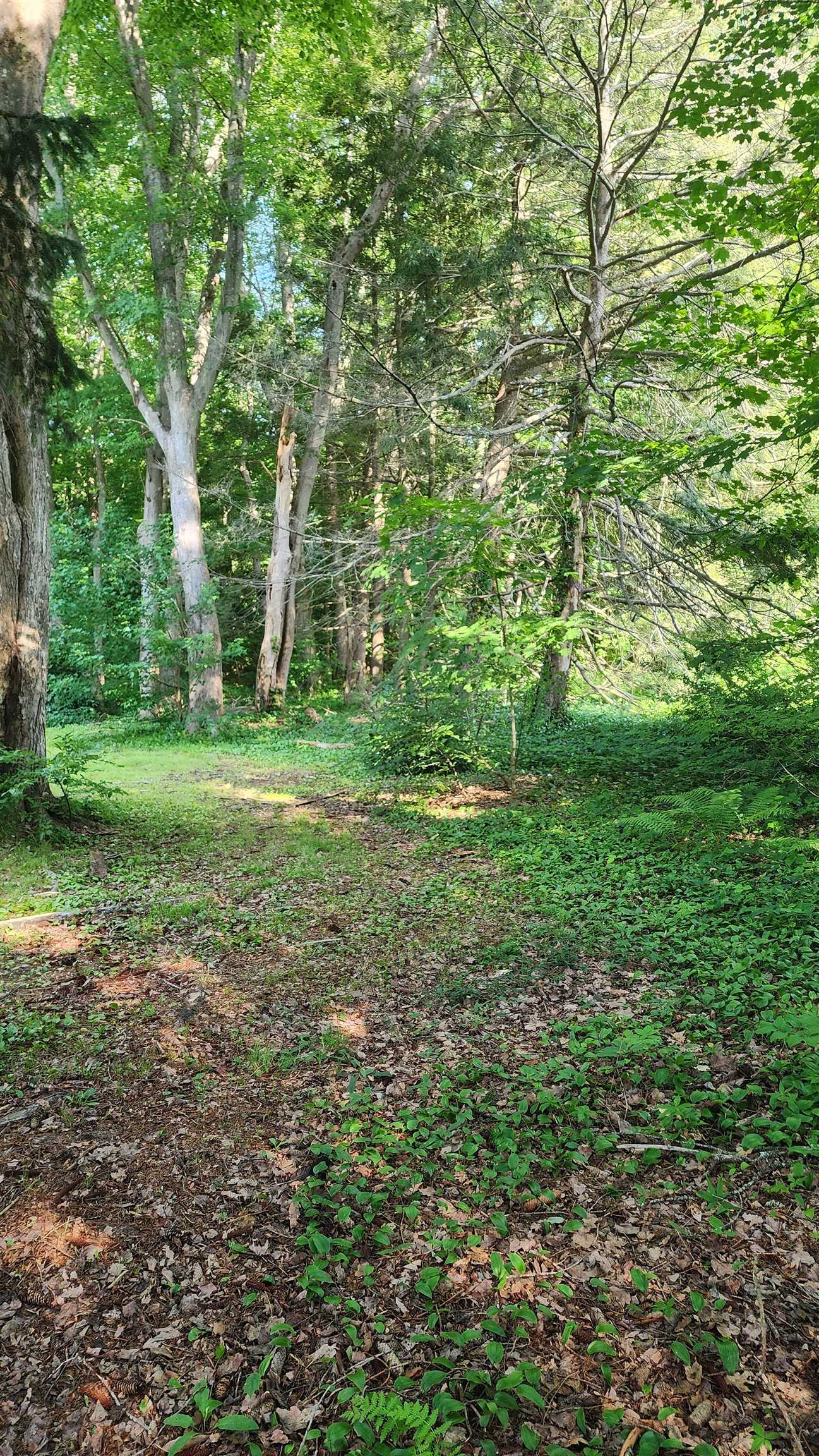 Towle Avenue Hampton, NH 03842 - Photo 12 of 14