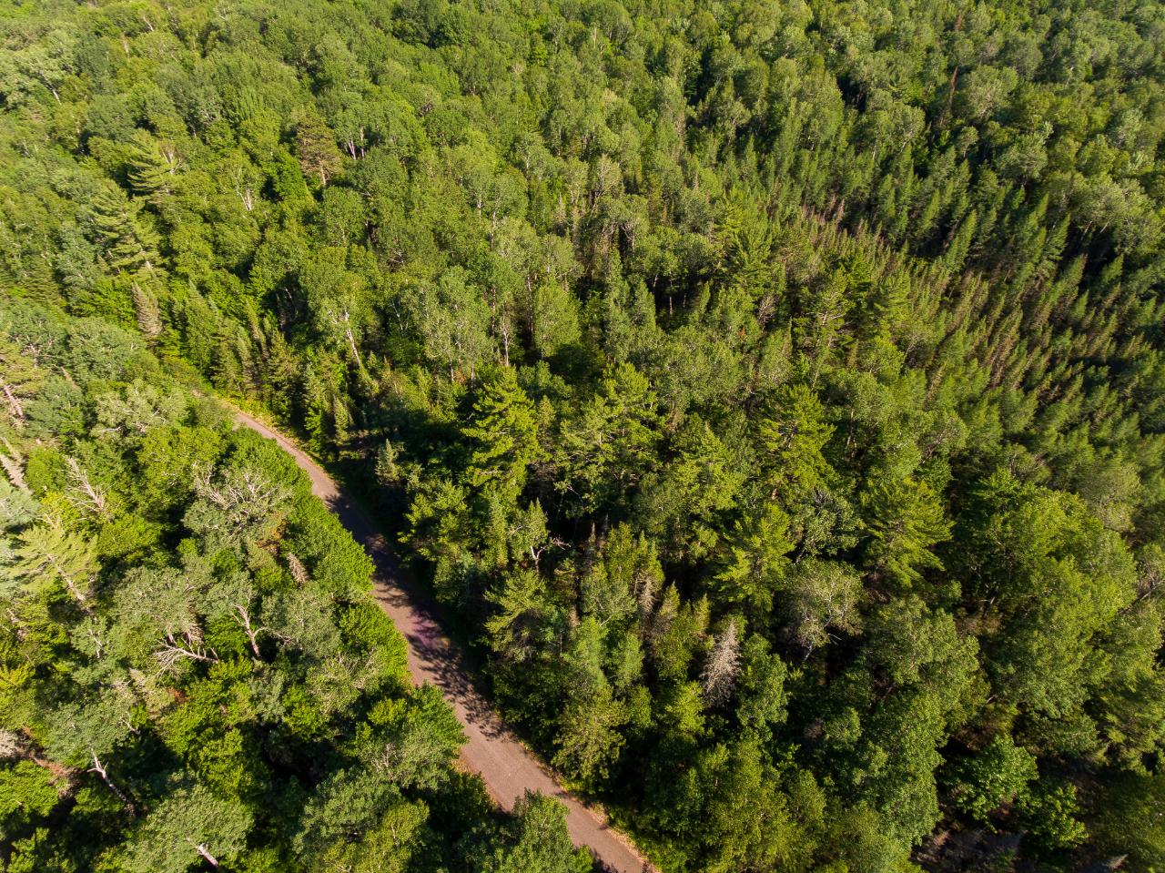 Lot 9 Moonshine Valley Road Presque Isle, WI 54557 - Photo 9 of 19 Gallery Image 9