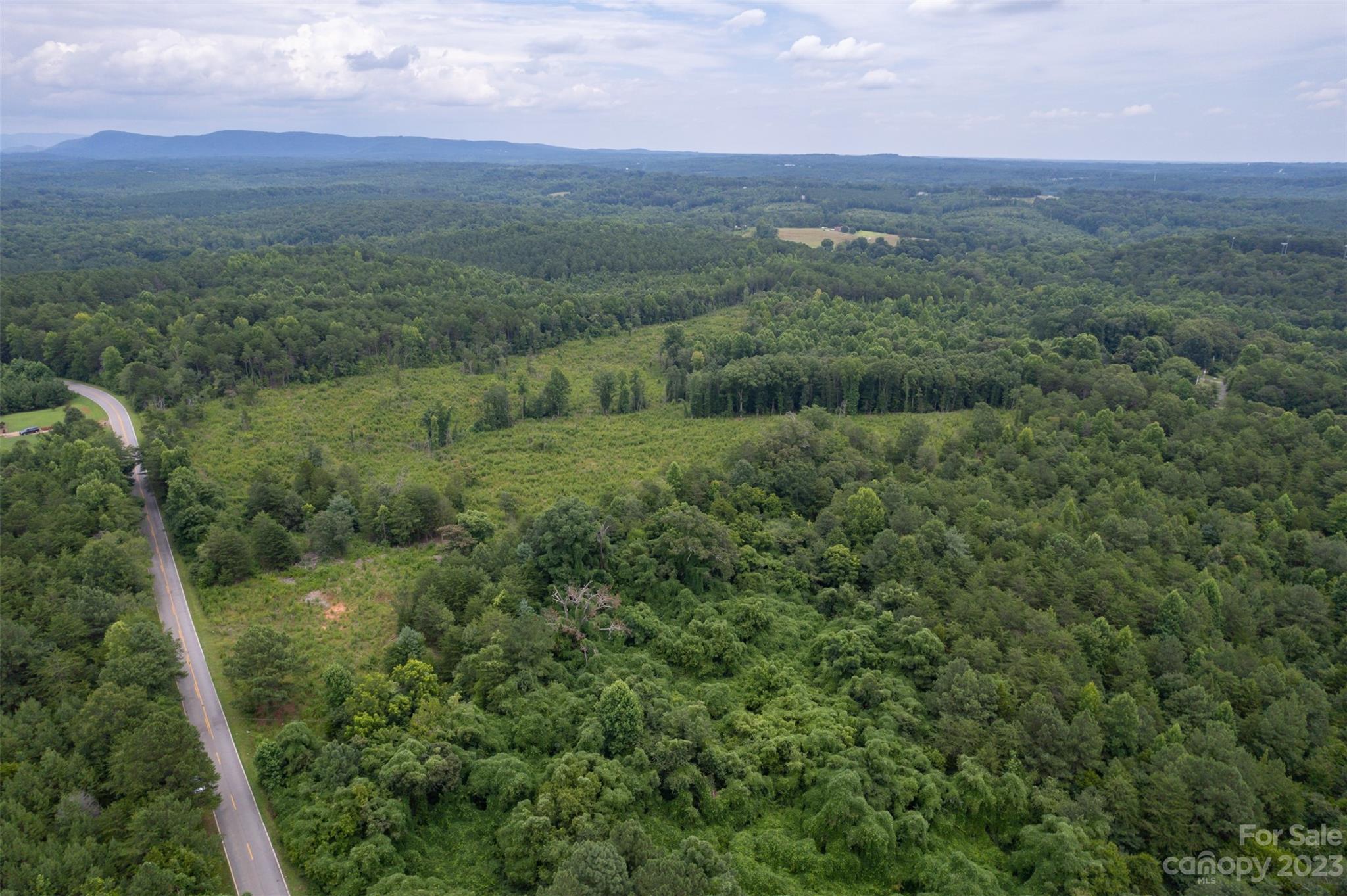0 Horn Bottom Road Forest City, NC 28043 - Photo 12 of 22 a view of a green field with lots of bushes