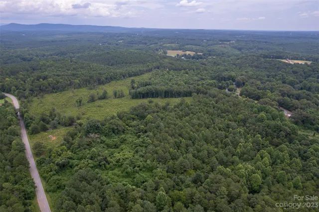 a view of a city with lush green forest