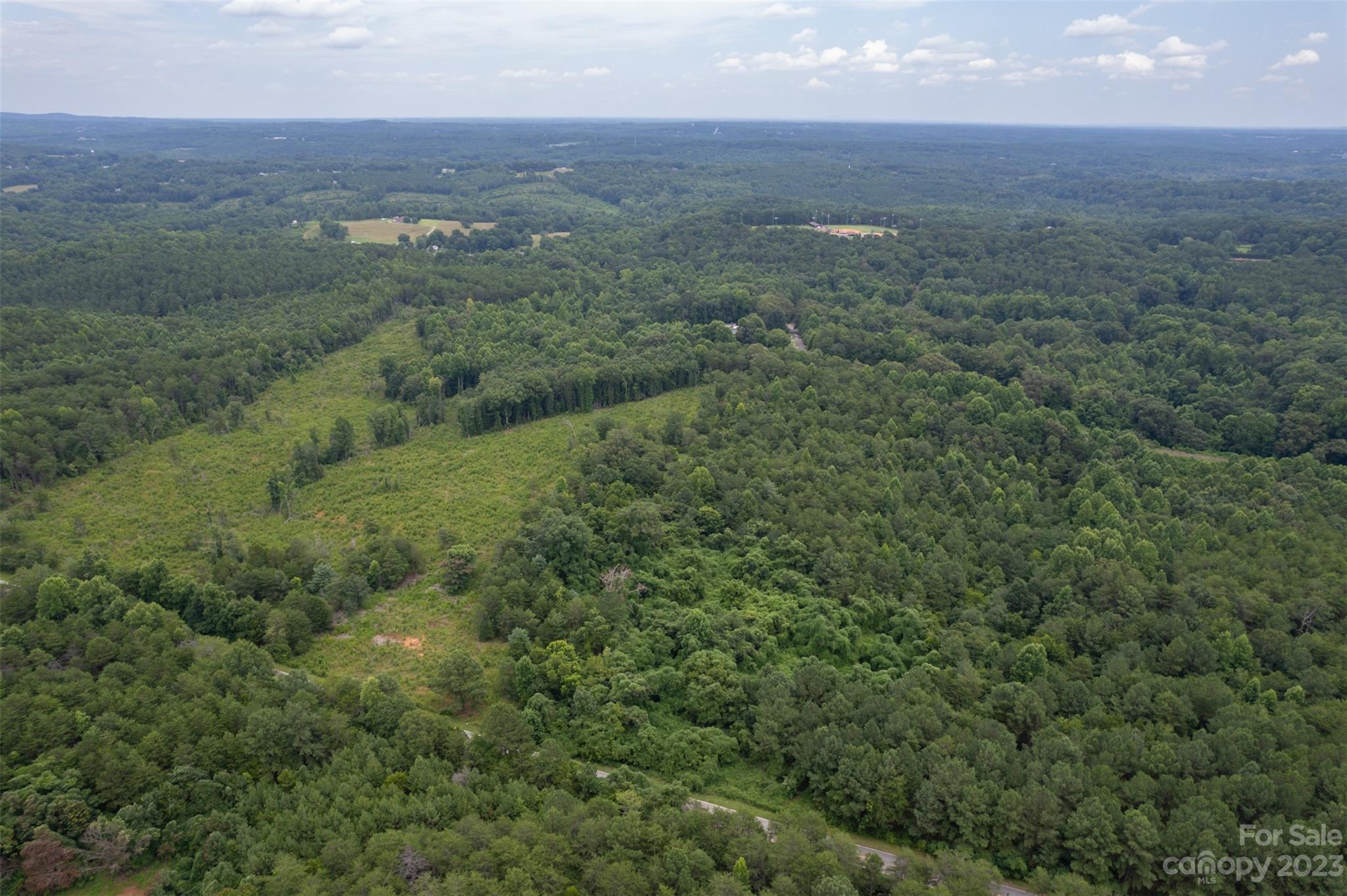 0 Horn Bottom Road Forest City, NC 28043 - Photo 15 of 22 a view of a green field with lots of bushes