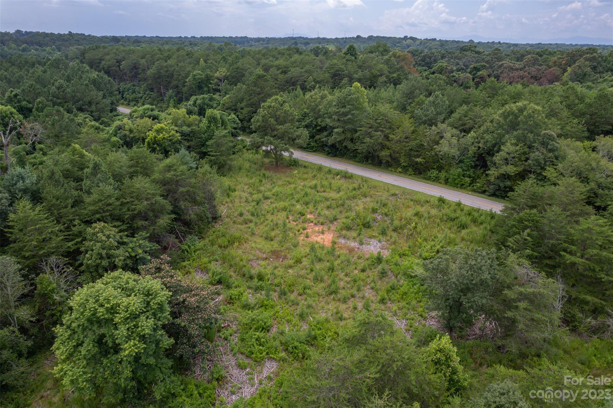 0 Horn Bottom Road Forest City, NC 28043 - Photo 17 of 22 a view of a green field with lots of bushes