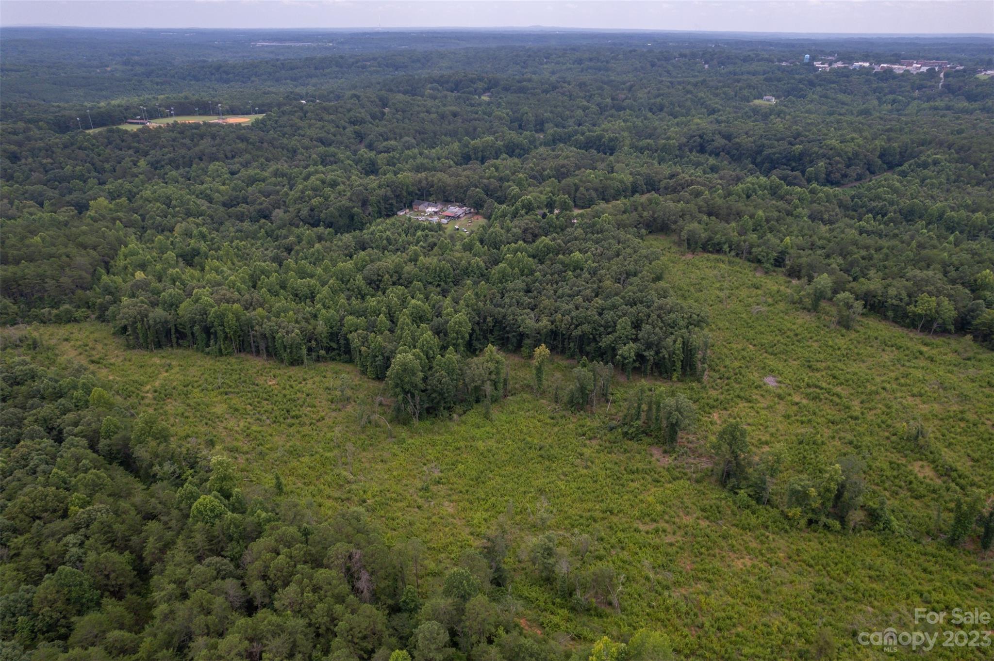 0 Horn Bottom Road Forest City, NC 28043 - Photo 19 of 22 a view of a lush green forest with trees and some houses