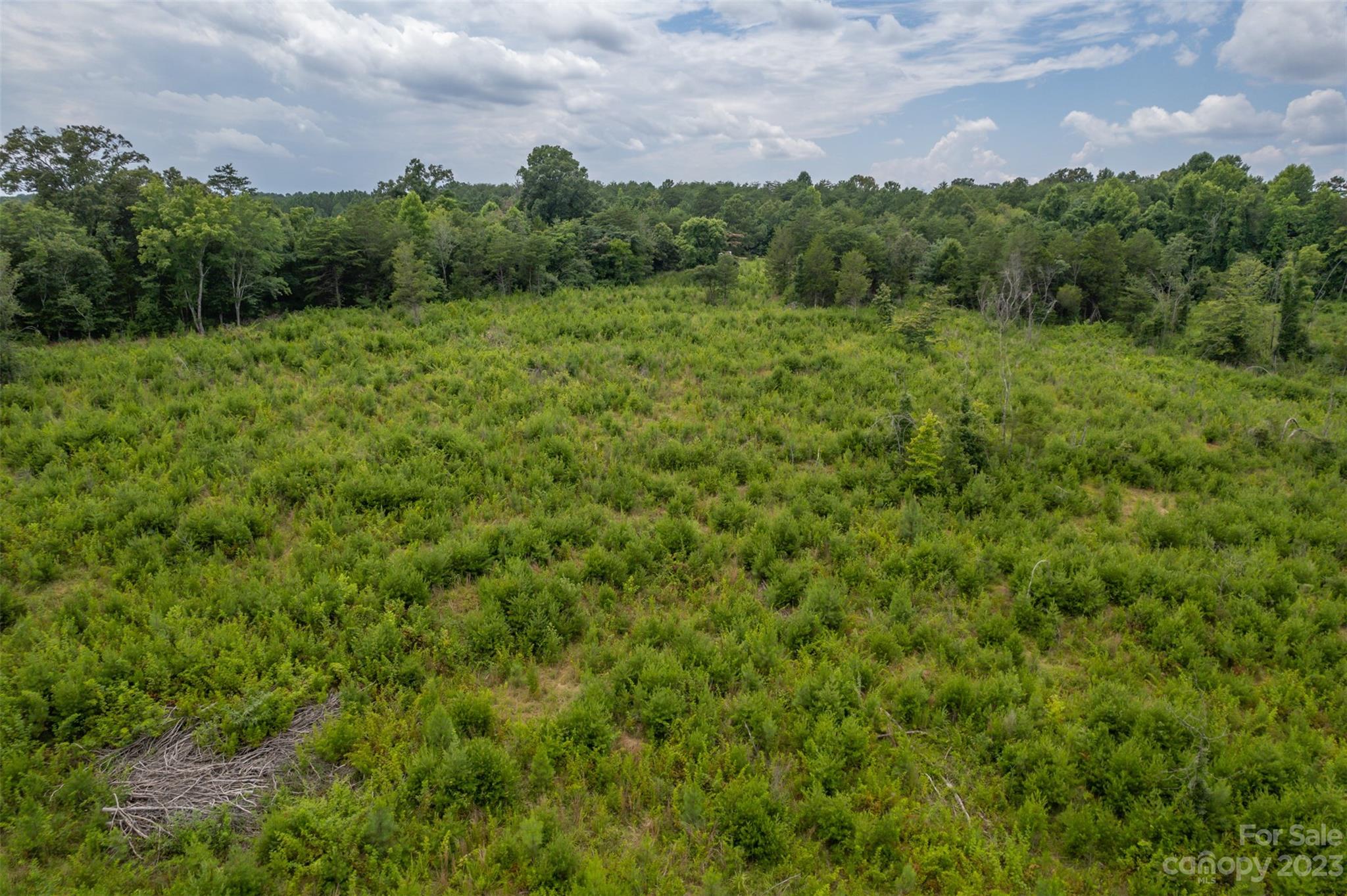 0 Horn Bottom Road Forest City, NC 28043 - Photo 4 of 22 a view of a green field with a building in the background