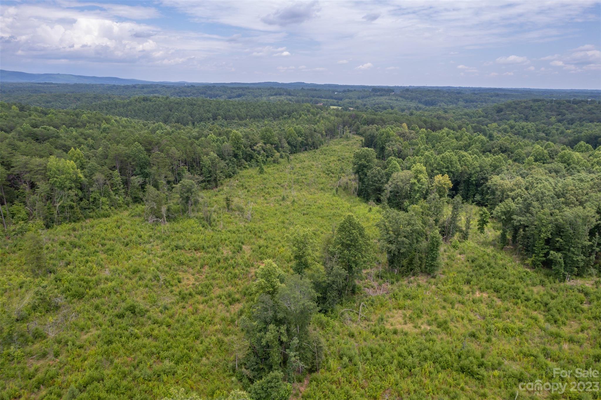 0 Horn Bottom Road Forest City, NC 28043 - Photo 5 of 22 a view of a green field with lots of bushes