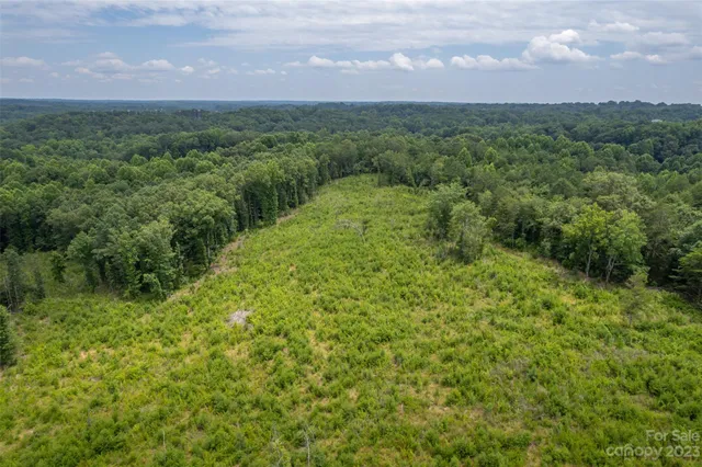 a view of a green yard with lots of trees