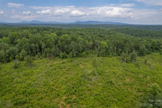 a view of a green field with lots of bushes