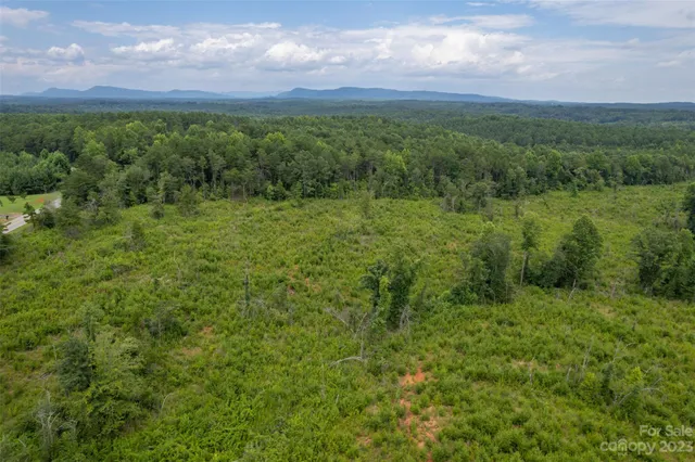 a view of a green field with lots of trees