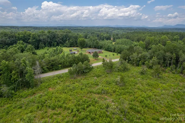 a view of a lush green forest