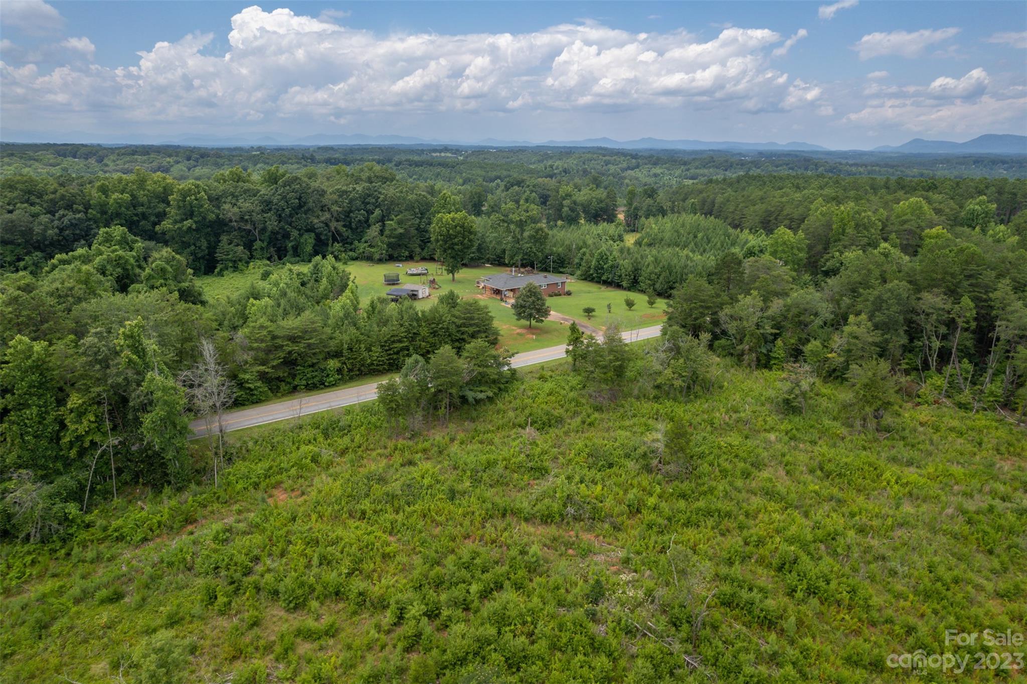 0 Horn Bottom Road Forest City, NC 28043 - Photo 9 of 22 a view of a lush green forest