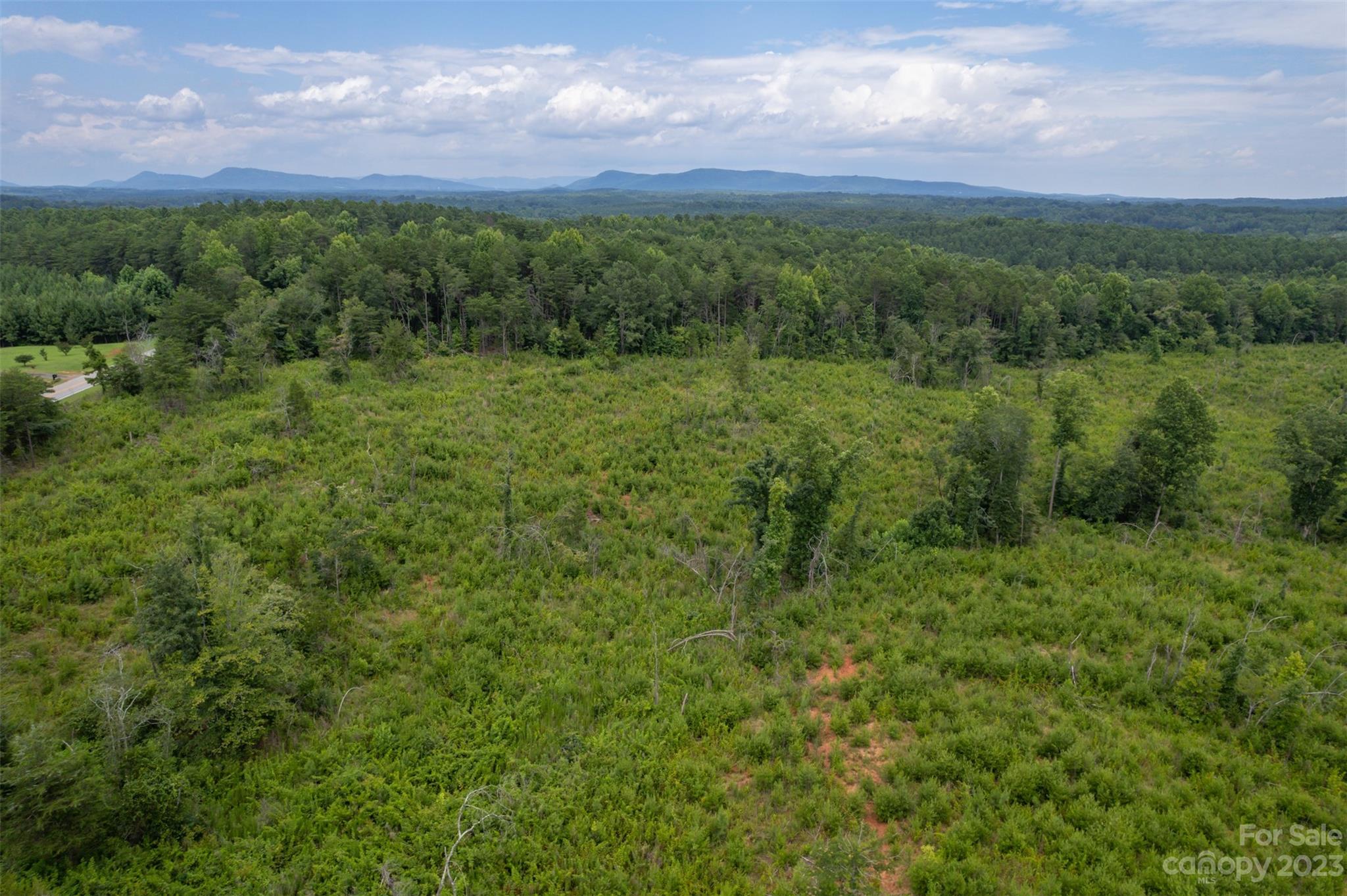 0 Horn Bottom Road Forest City, NC 28043 - Photo 10 of 22 a view of a green field with lots of trees in it
