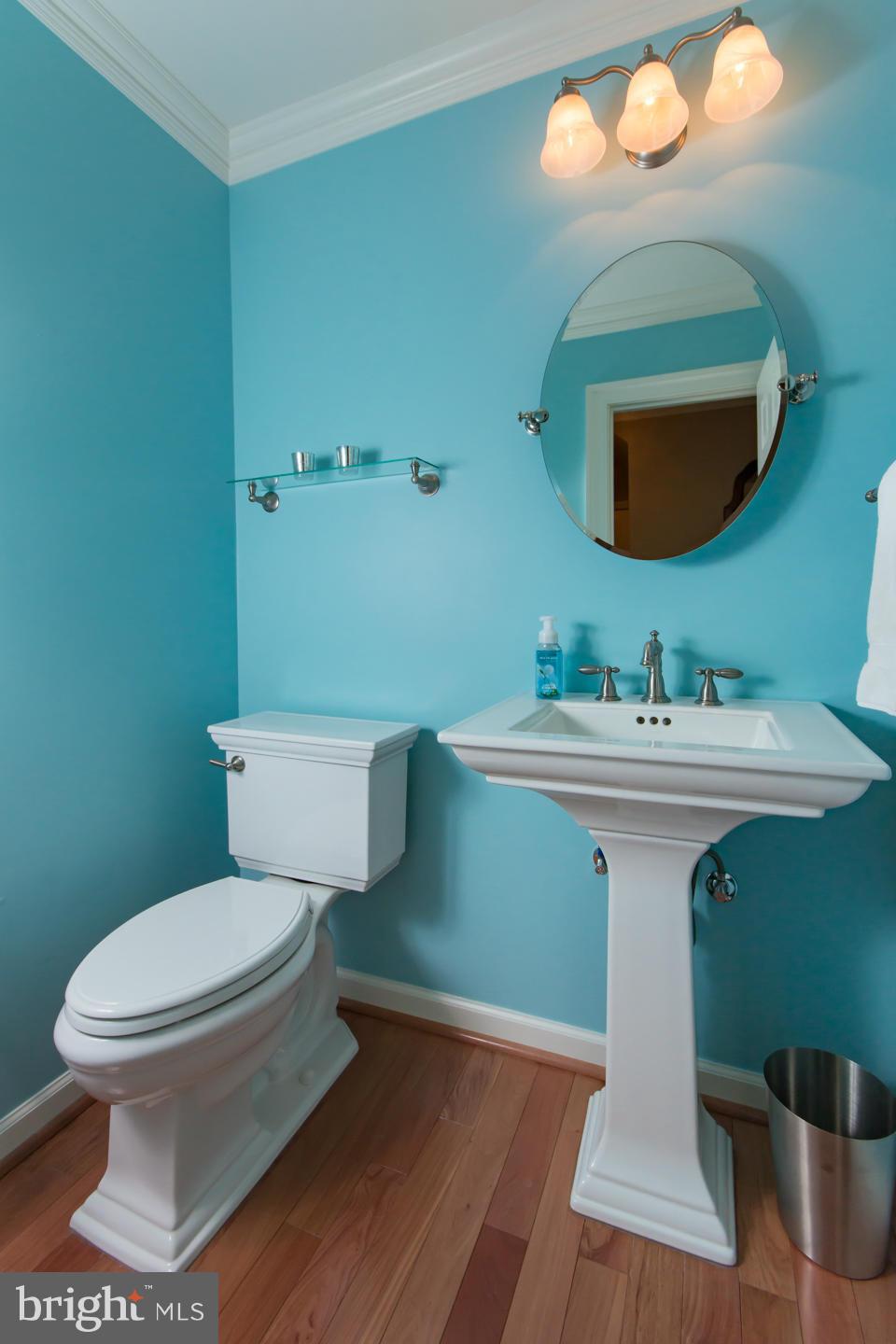 13322 Point Rider Lane Herndon, VA 20171 - Photo 13 of 28 Main level powder room