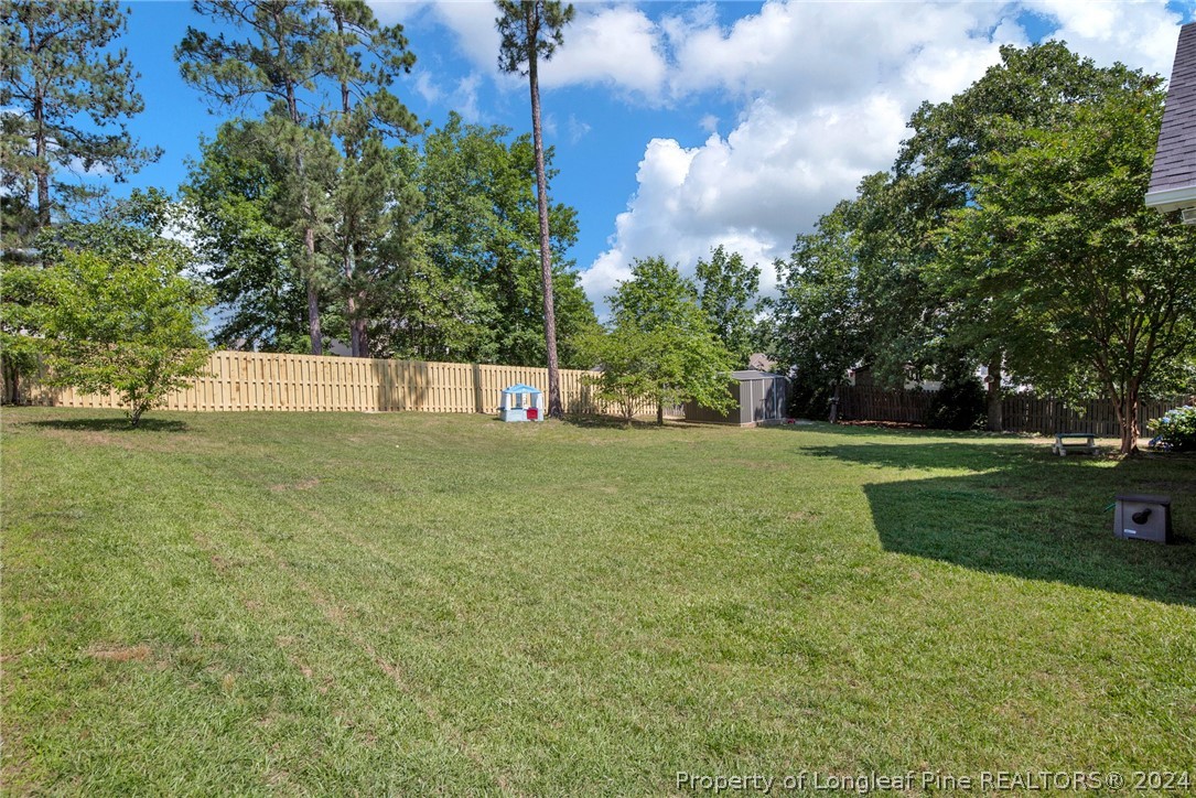 101 Lattimore Road Cameron, NC 28326 - Photo 3 of 33 a view of building with outdoor space