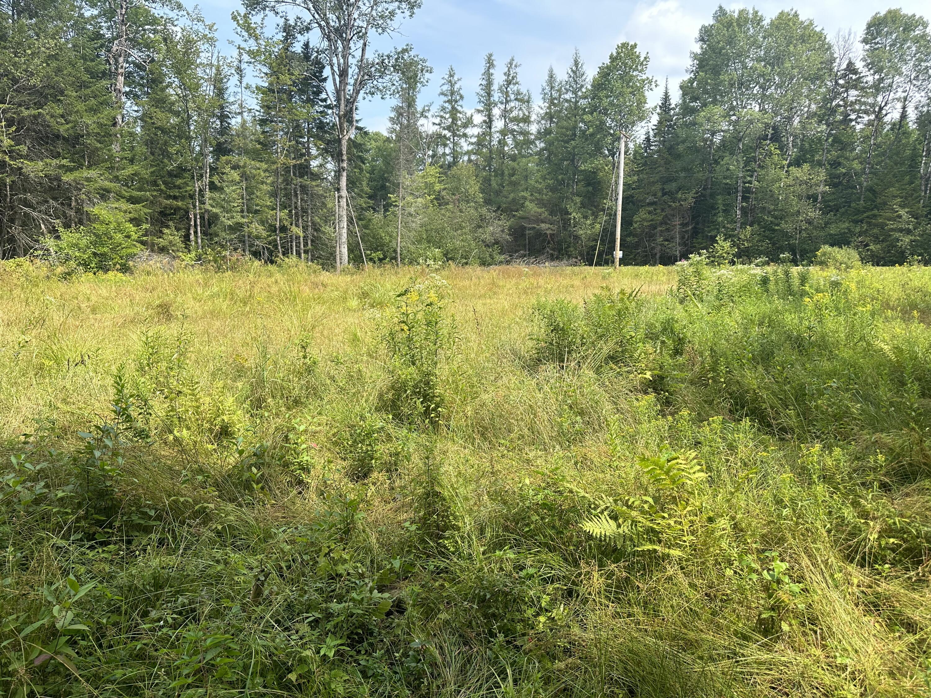 1687 County Rte 27 Owls Head, NY 12969 - Photo 3 of 6 Gallery Image 3