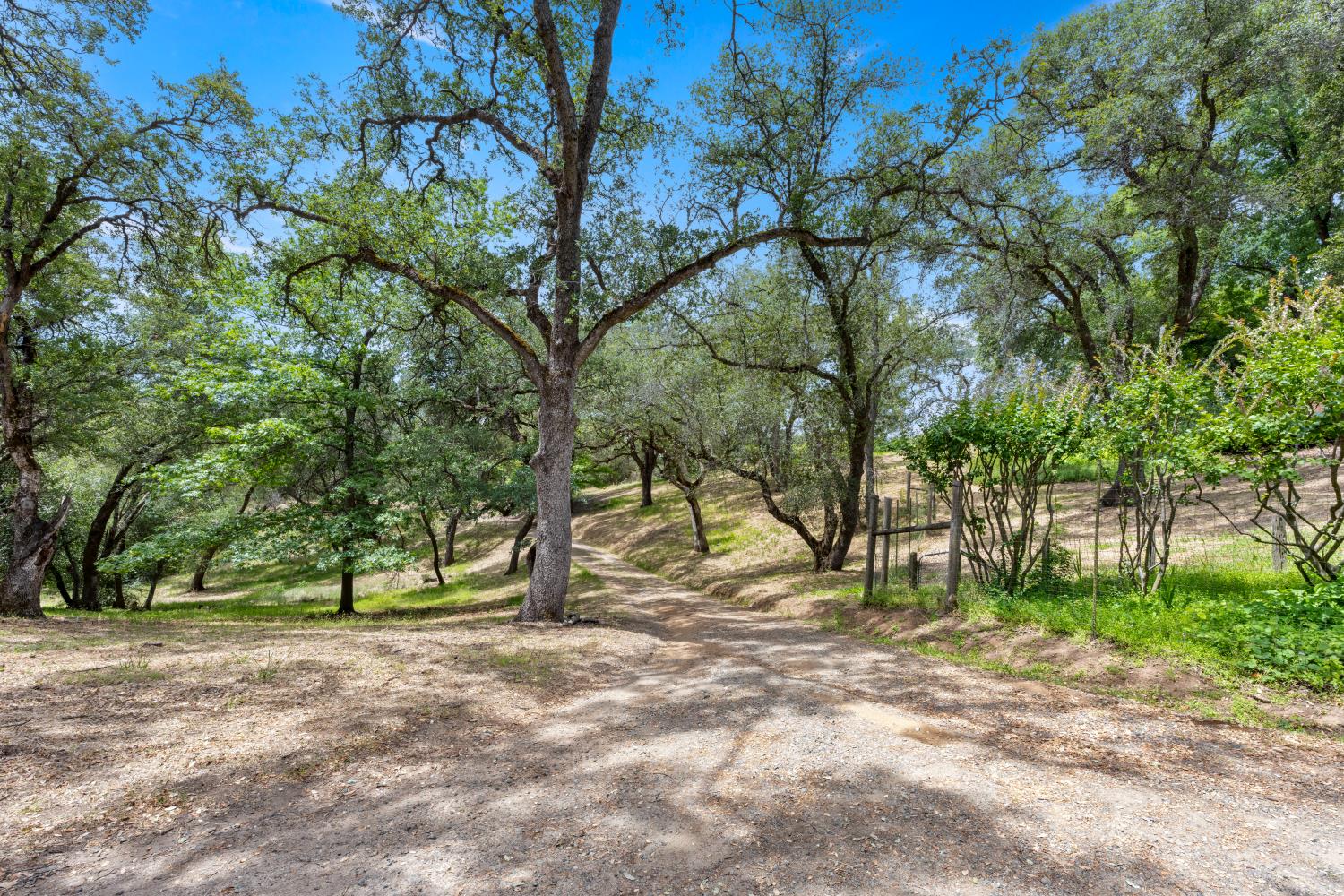4223 Wise Road Lincoln, CA 95648 - Photo 90 of 95
