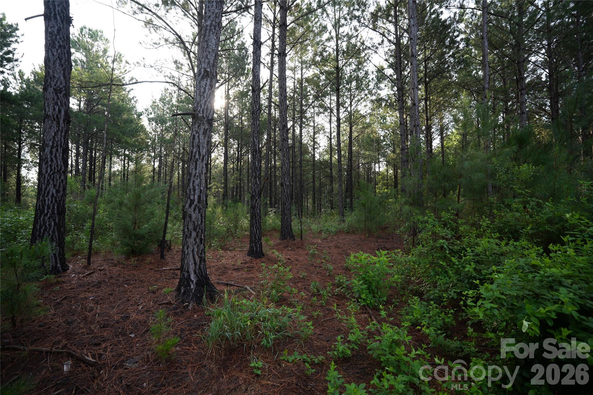0 Bobby Faucette Road, Unit 9 Jonesville, SC 29353 - Photo 14 of 15 Gallery Image 14