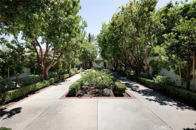a view of a garden with pathway