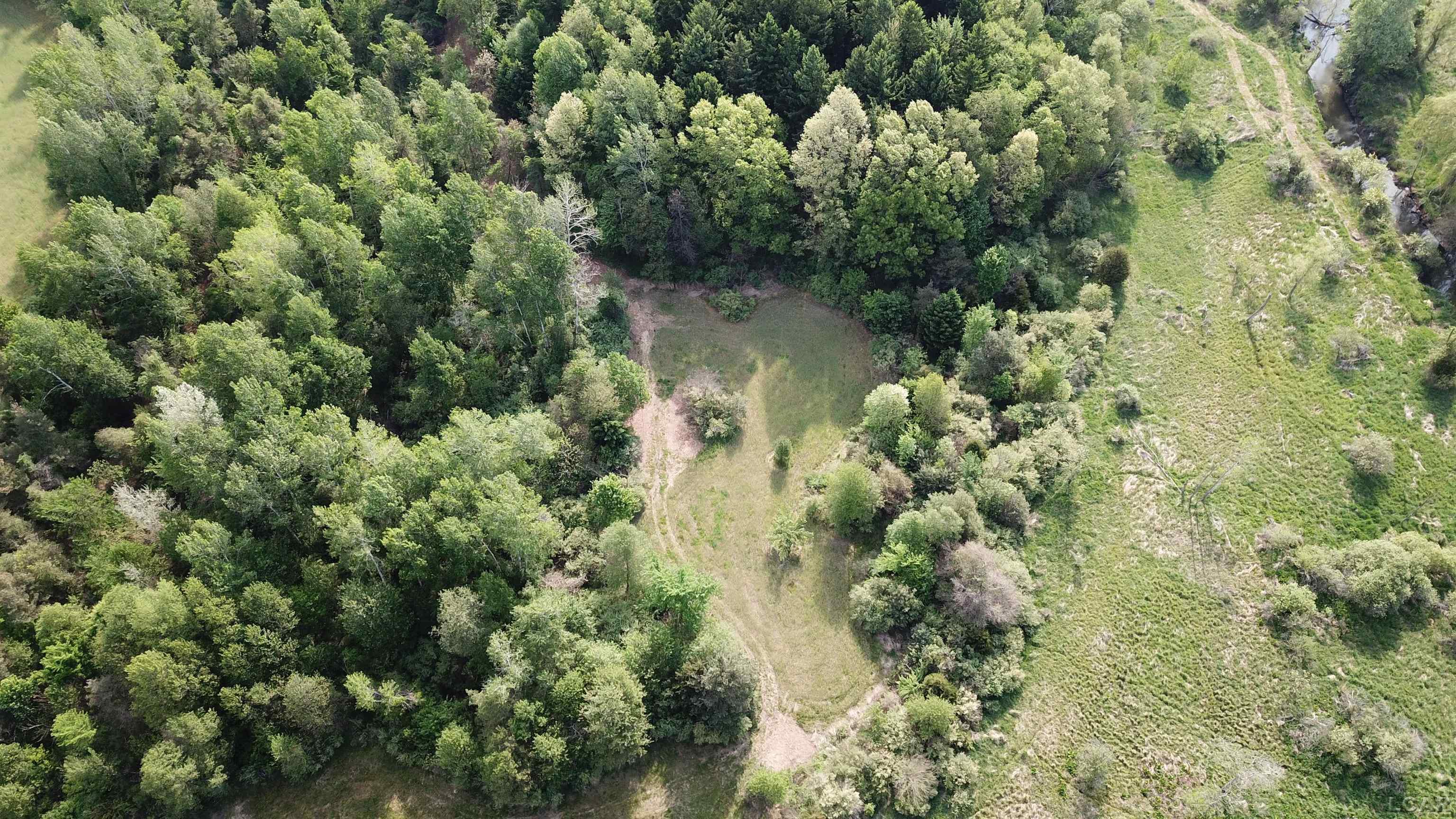 15252 27 Mile Road Albion, MI 49224 - Photo 44 of 57