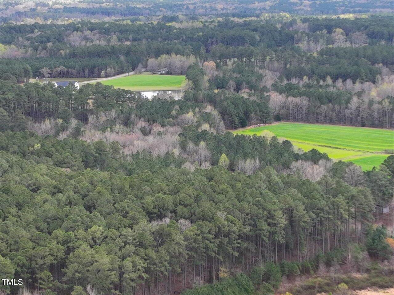 0 Olive Chapel Road Apex, NC 27502 - Photo 11 of 18 26-026-ChathamParcel-17926-20220325